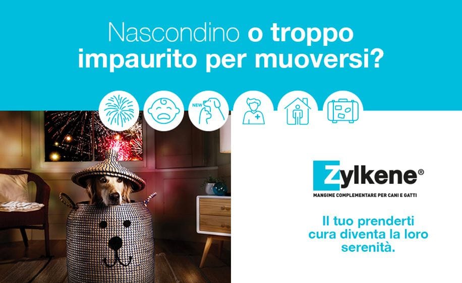 /prodotti/zylkene-cani-gatti-75-mg-20-compresse-p-927185482