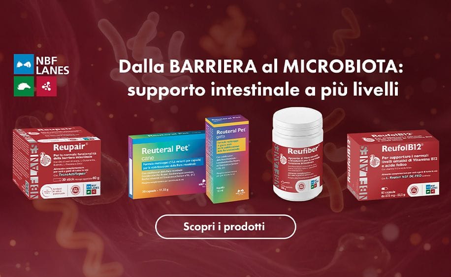 NEW banner desktop e mobile 916x562 ecom 4489