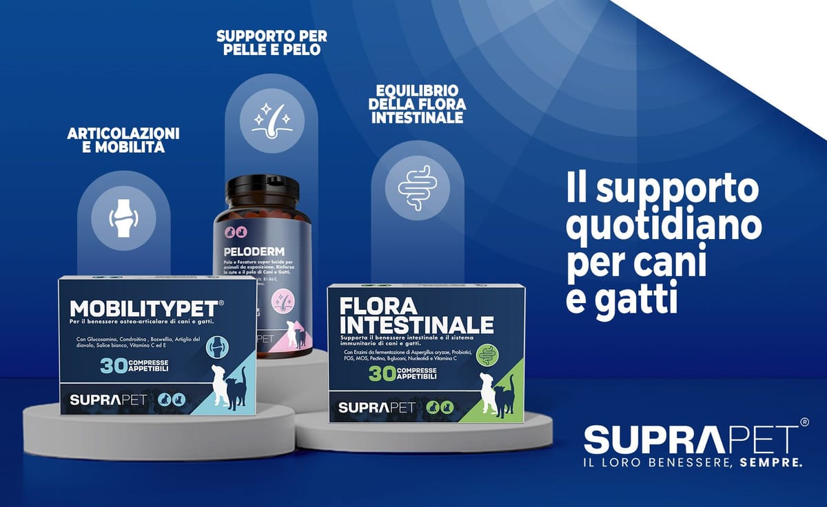 /mktpl_mylabNutrition_PET_24.05