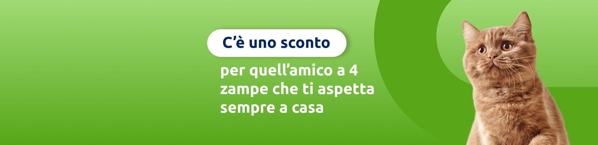 Giornata del gatto, ma sconti per tutti!