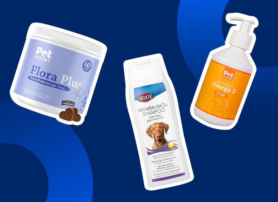 Cura e benessere degli animali