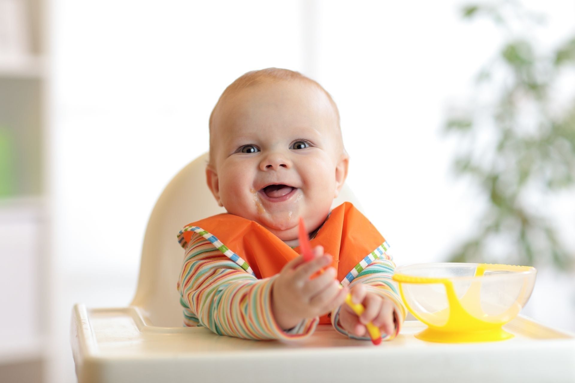 L'alimentazione del bambino dopo i primi sei mesi