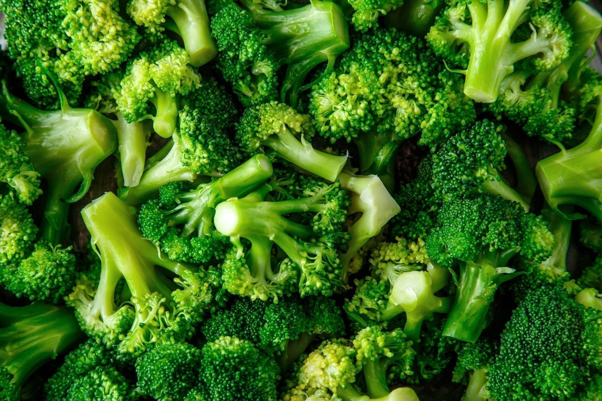 Broccoli: un superfood ricco di nutrienti e benefici per la salute