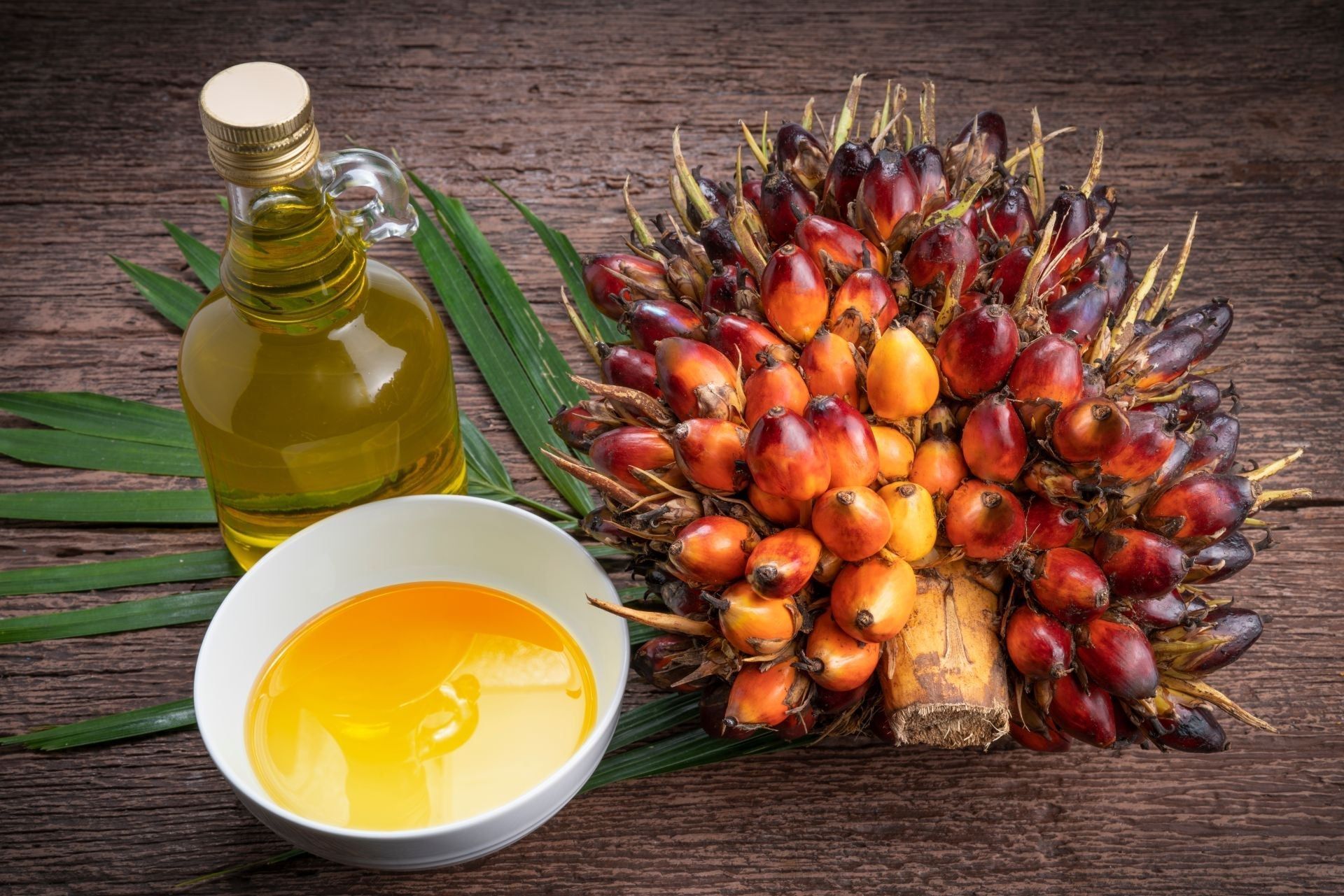 Olio di palma: tra verità e falsi miti