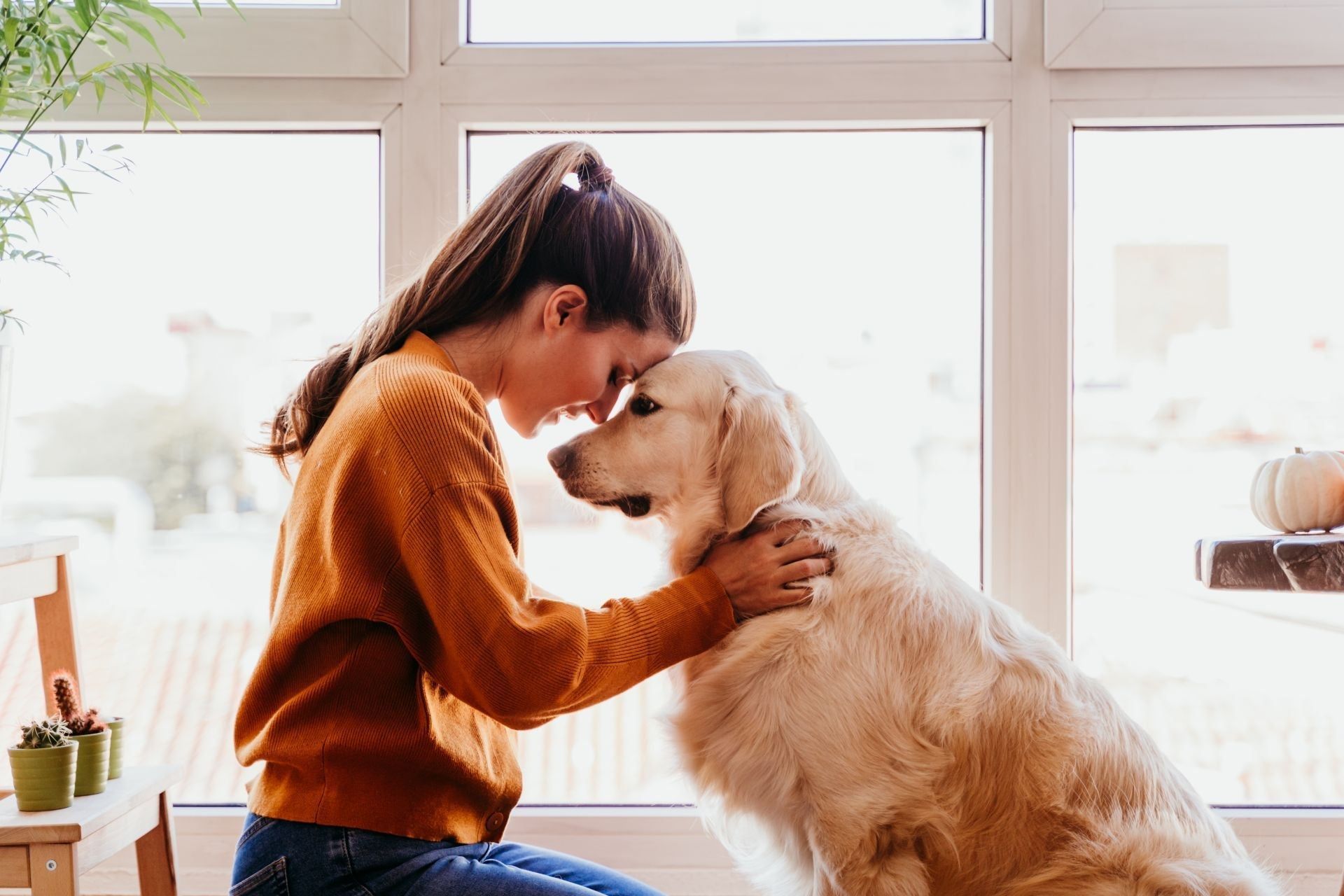 I benefici della pet terapy