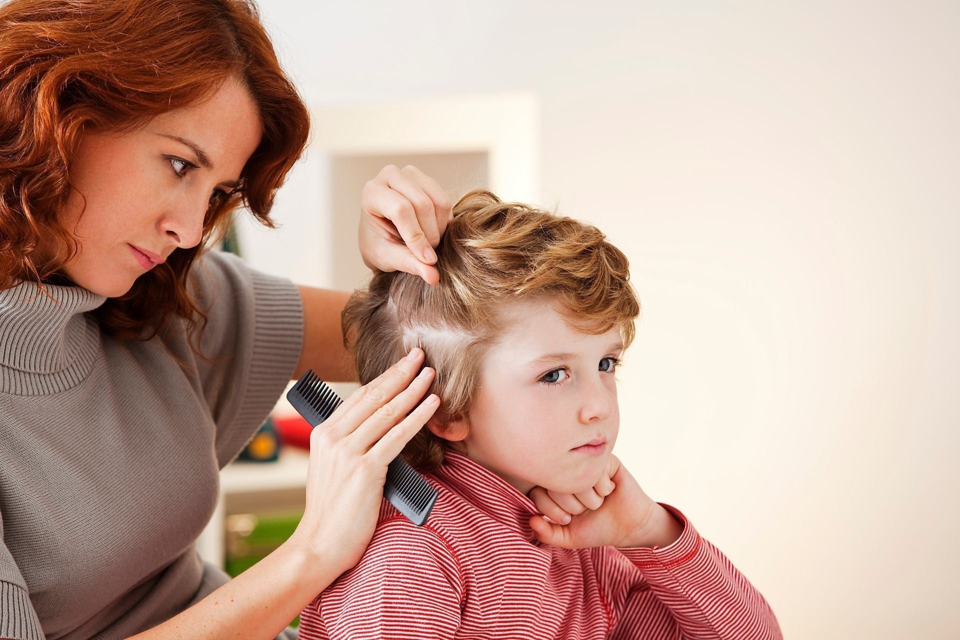 I pidocchi sul corpo, dai capelli al pube: diagnosi e trattamento