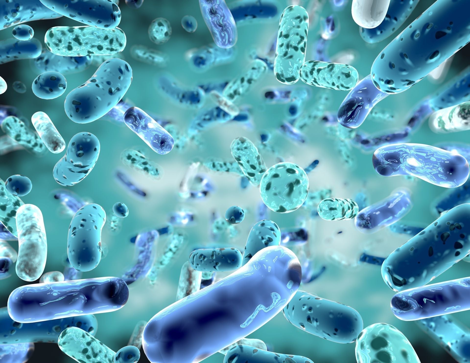 I probiotici: arma contro la diarrea