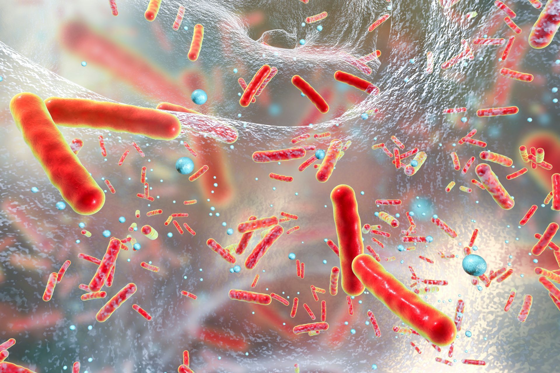 L’antibiotico resistenza