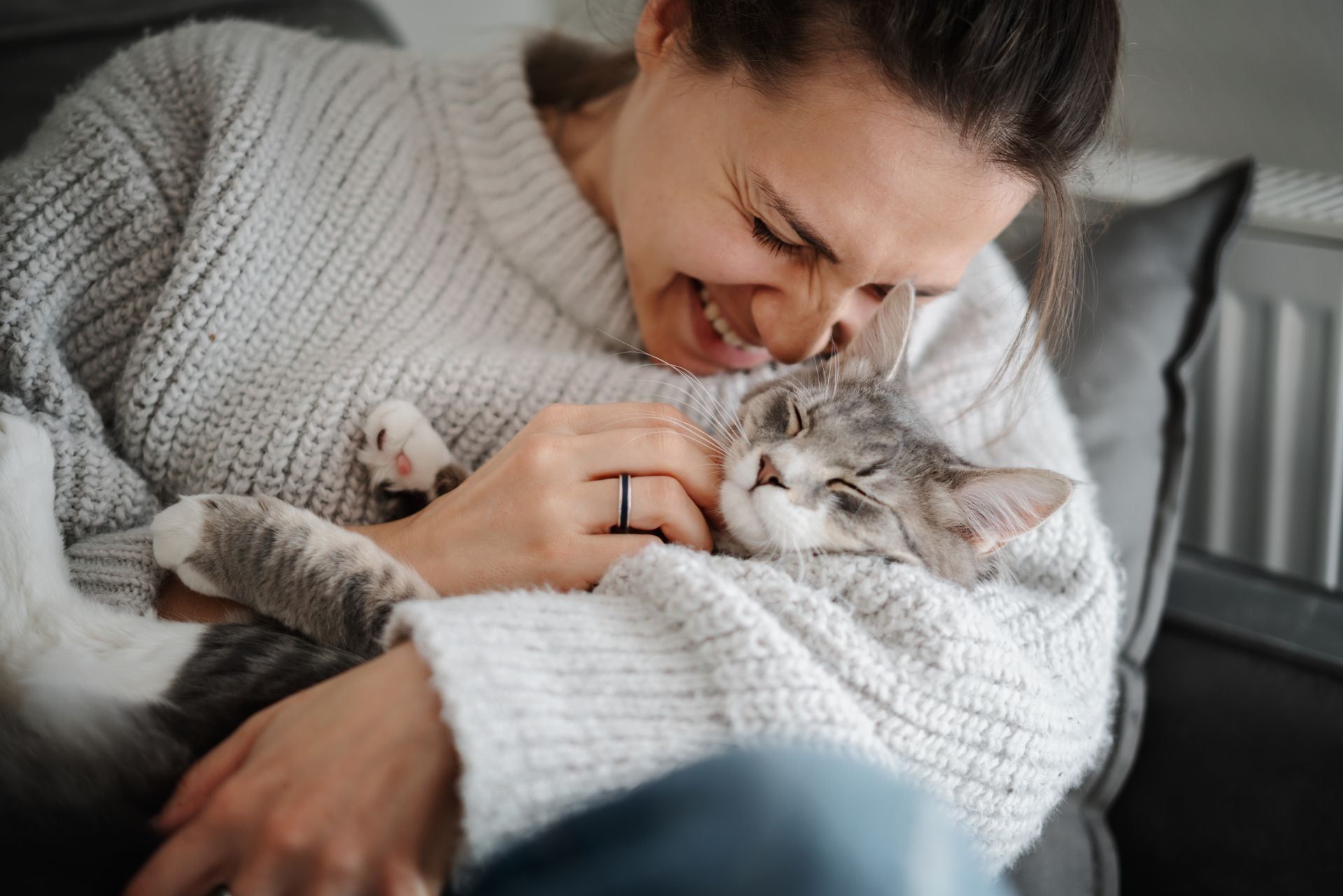 Gattoterapia: quando i nostri amici felini aiutano a vivere meglio