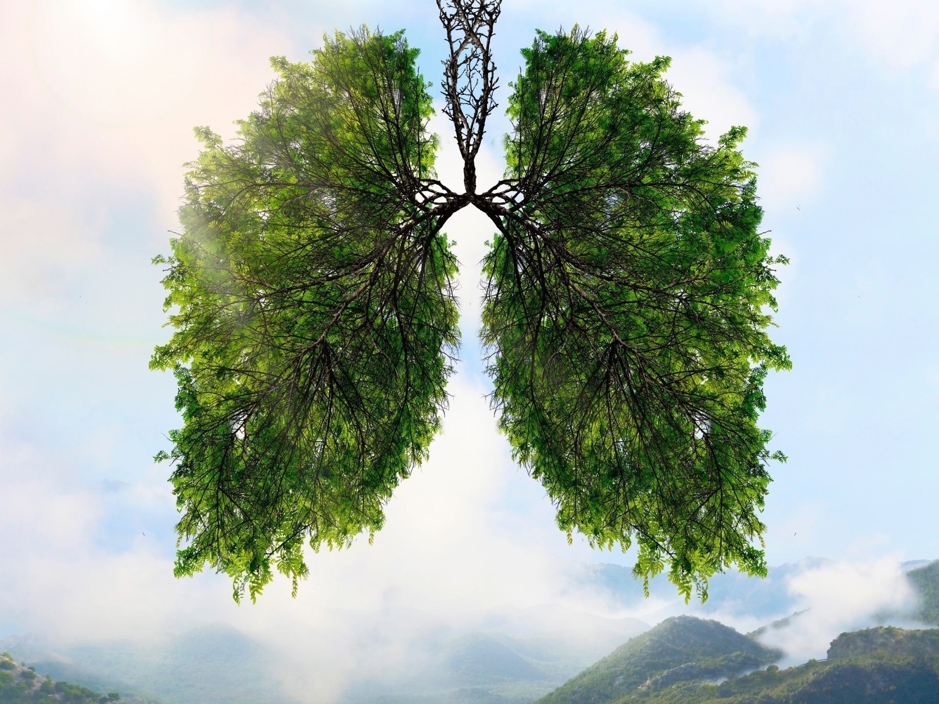 Polmoni sani: come respirare meglio