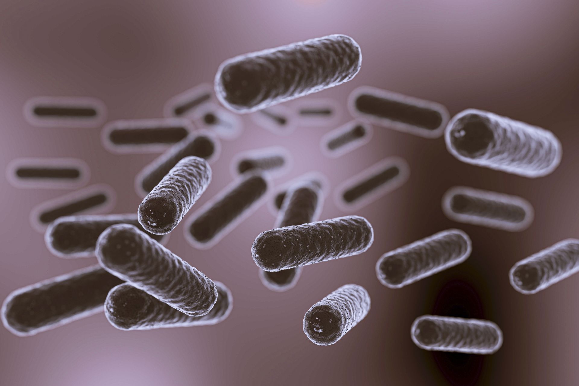 Candida Albicans: cos'è e come curarla