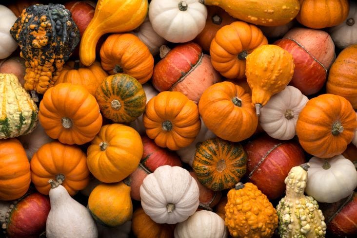 Le incredibili proprietà della zucca