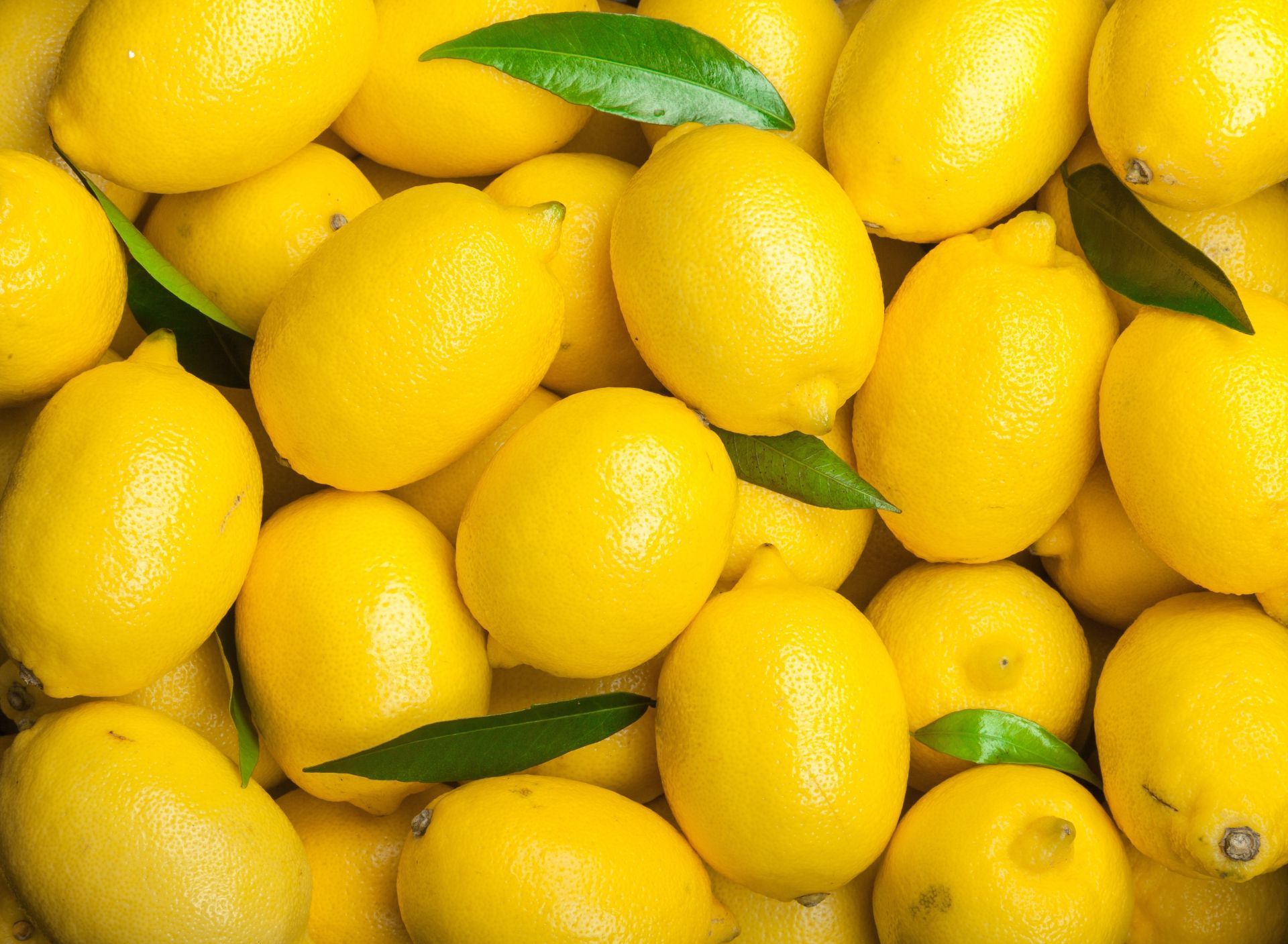 Tutti i segreti del limone: il frutto dalle proprietà terapeutiche