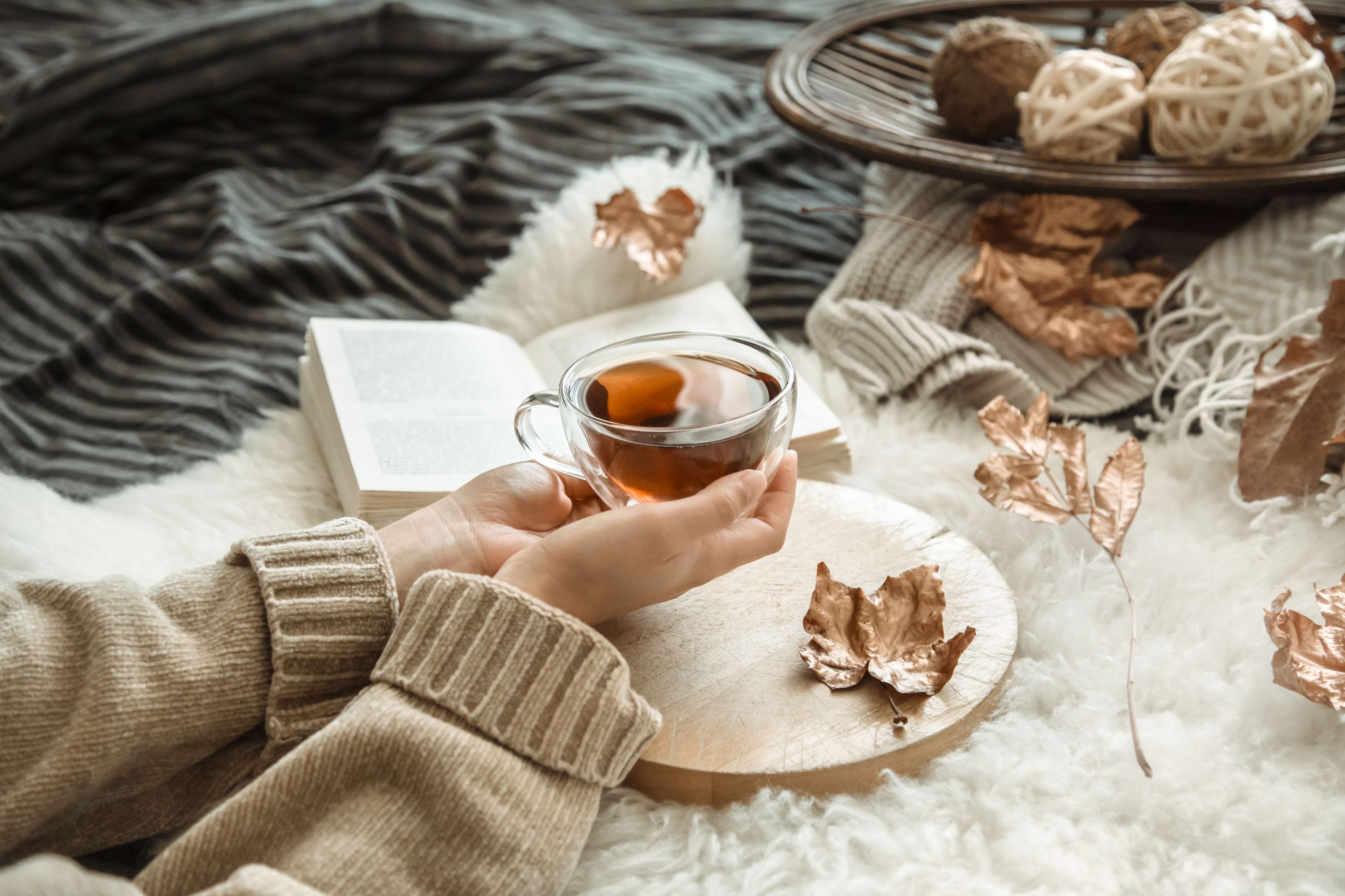 Tisane autunnali per rafforzare il sistema immunitario: guida scientifica agli ingredienti più efficaci