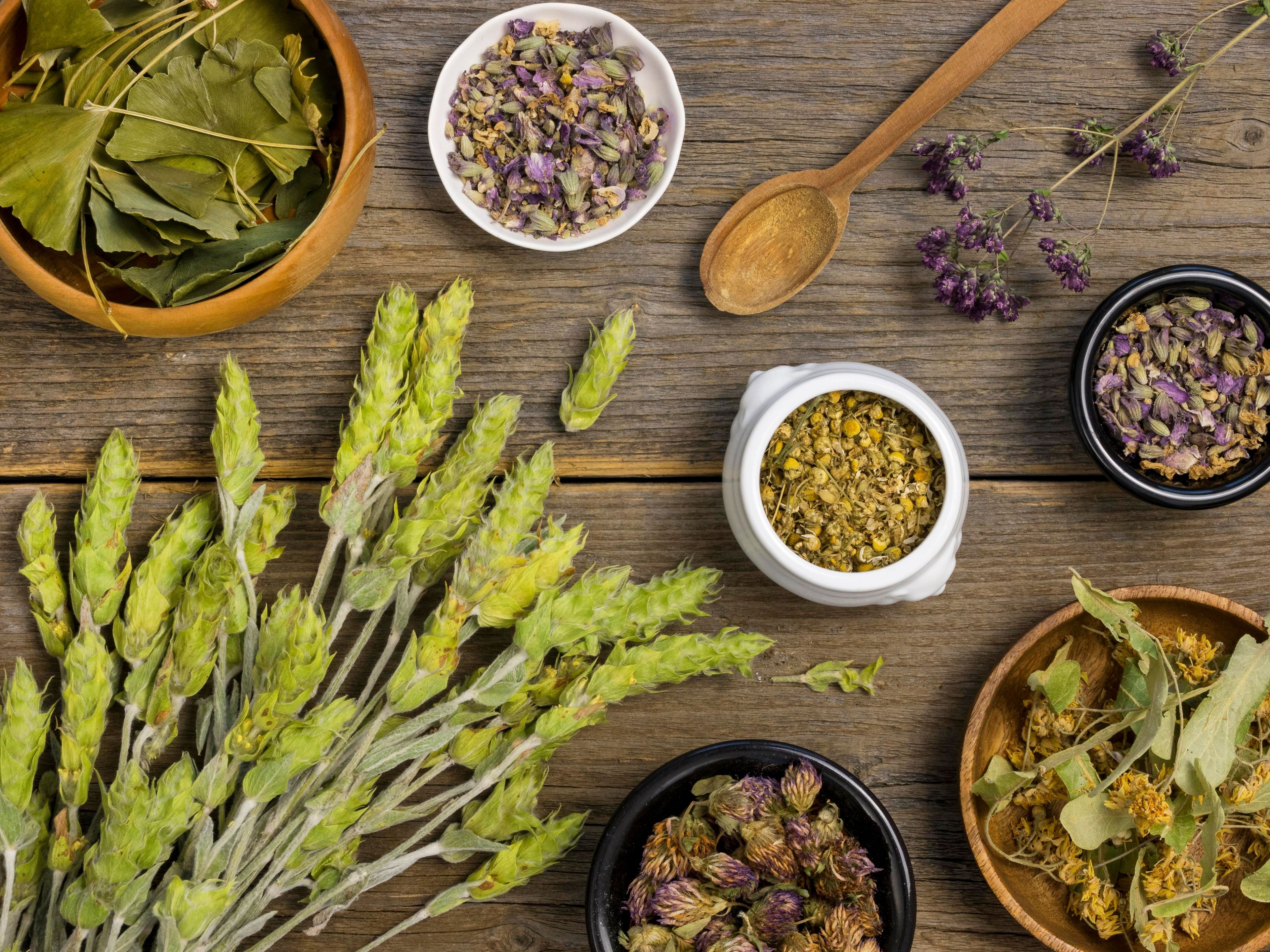 Erbe digestive: soluzioni naturali per migliorare la digestione